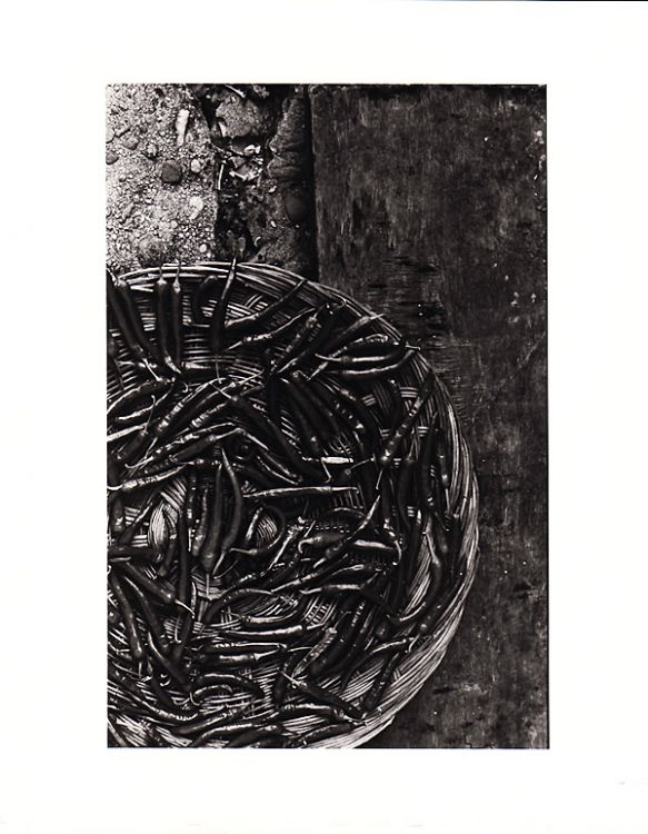 Red Pepper Drying
