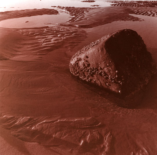 Red toned print?