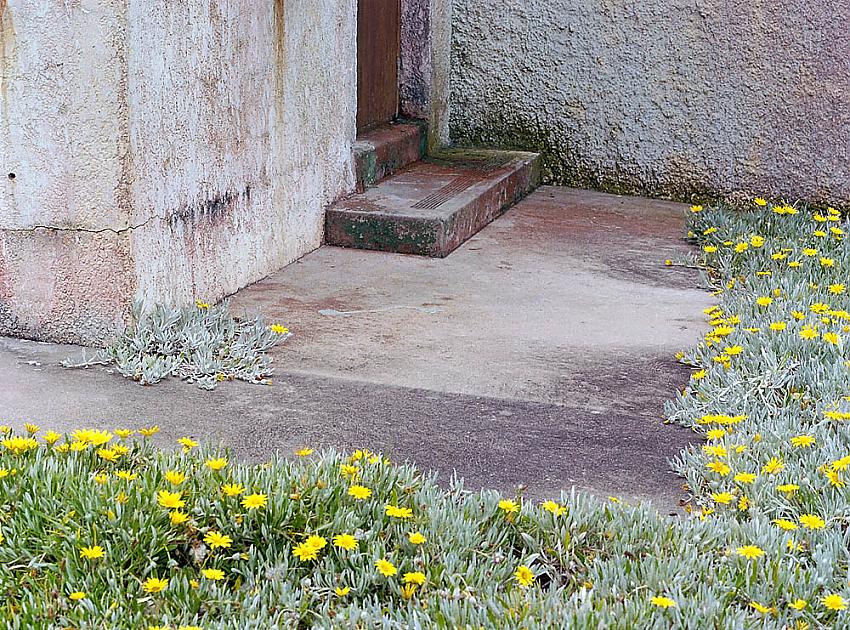 Red, yellow and green