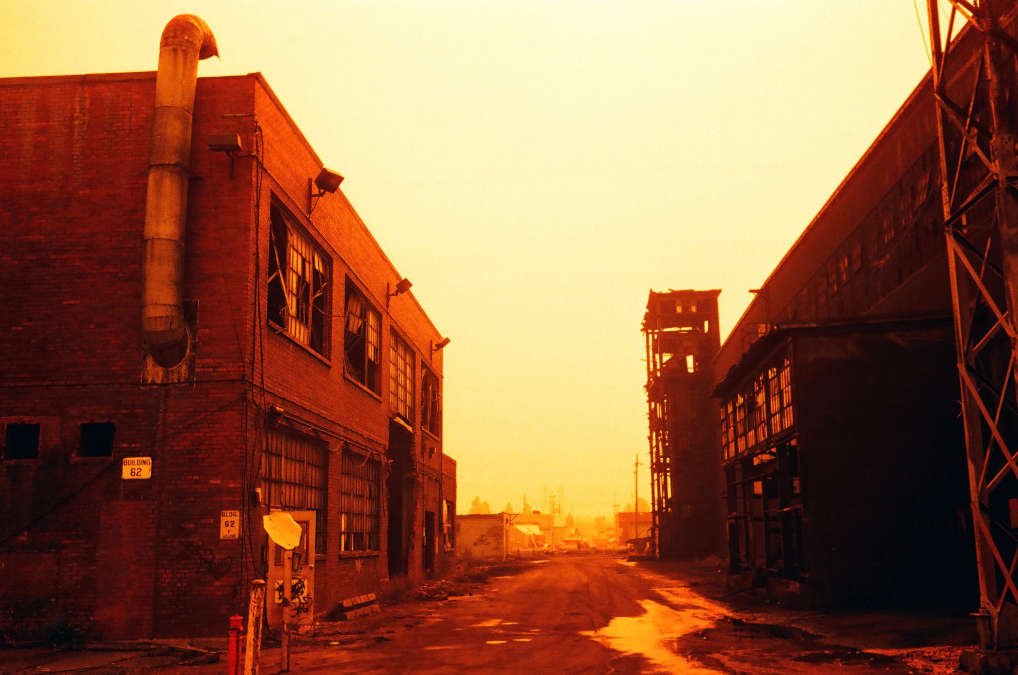 Redscale on a Smokey day.