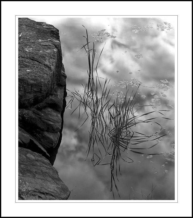 Reed ballet