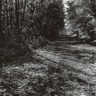 Reeds Furnace Road