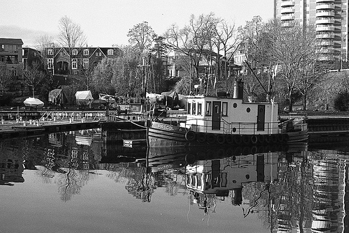 Reflected Pascol On 16 Mile Creek