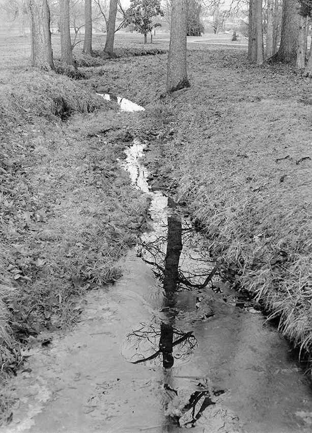 Reflection 2