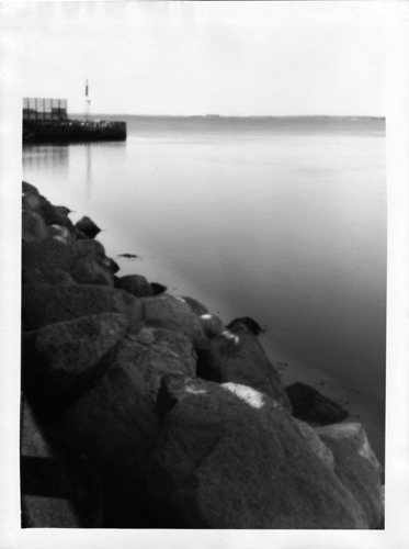 Reflection from the mole
