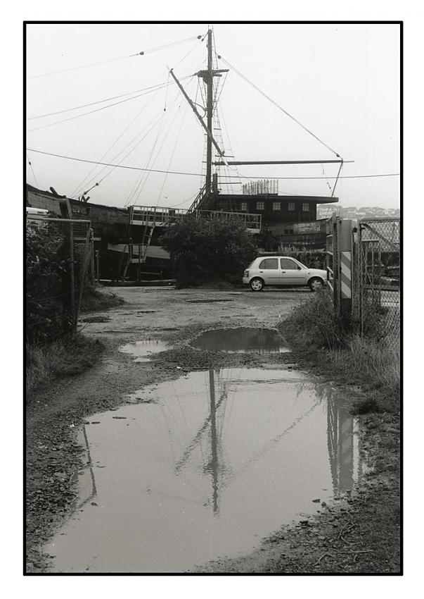Reflection in a mud puddle