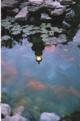 Reflection On Pond