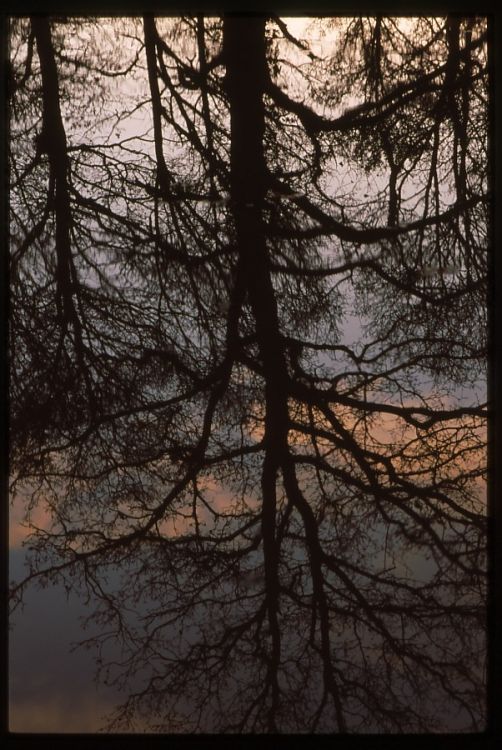 Reflection.