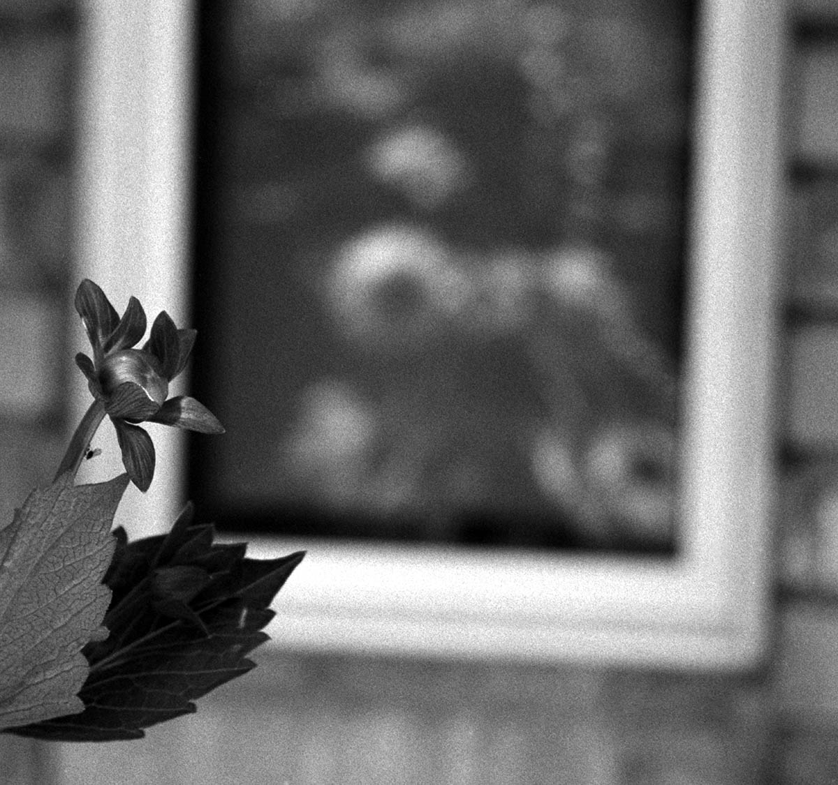 Reflection