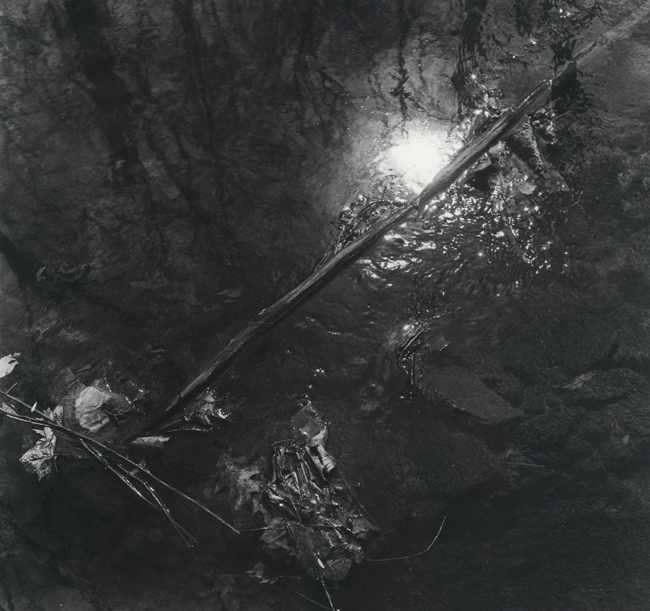Reflections 1979