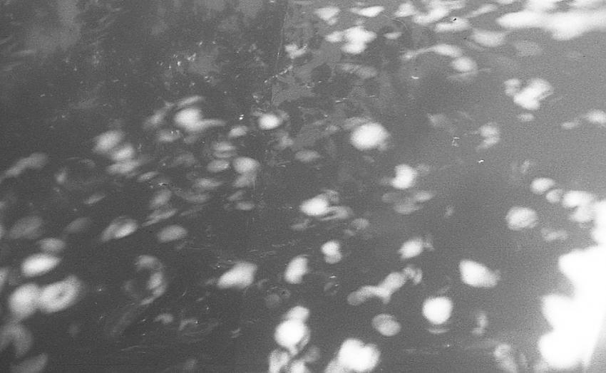reflections on a car hood