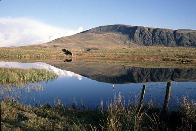 Reflections - Tewit Trn