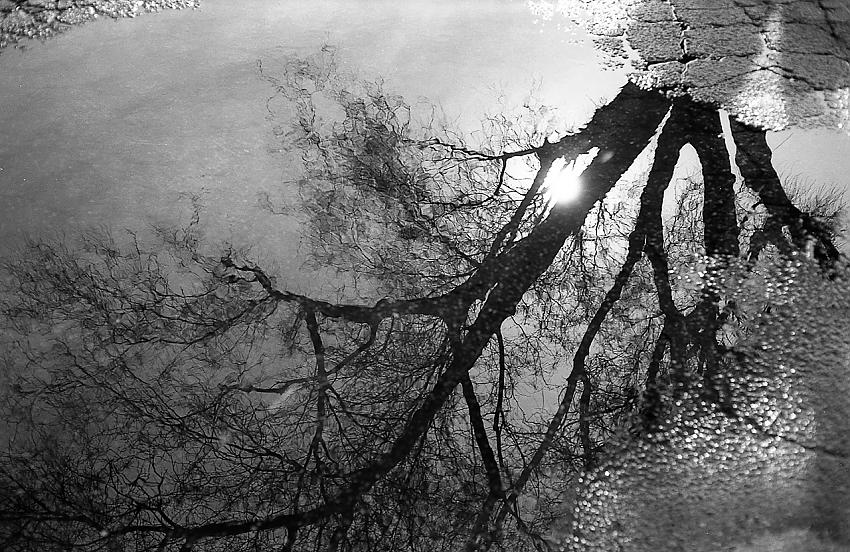 Reflections