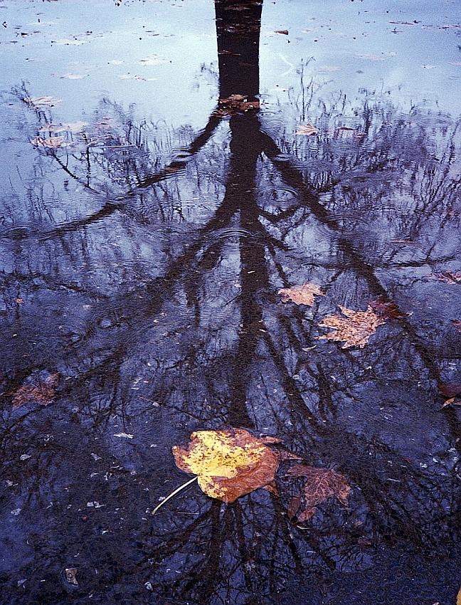 Reflections