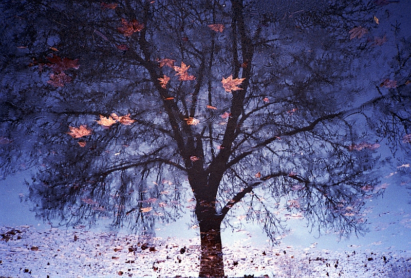 Reflections