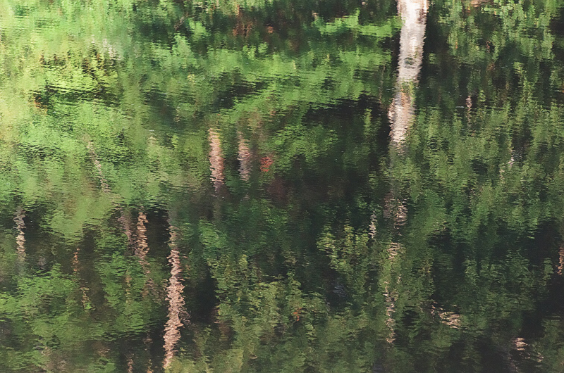 Reflections