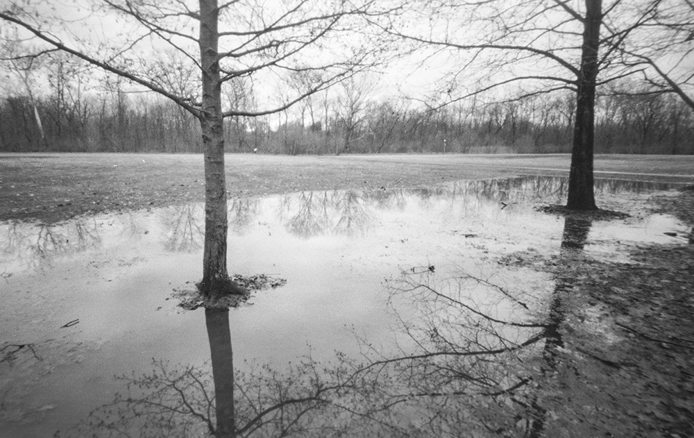 Reflections