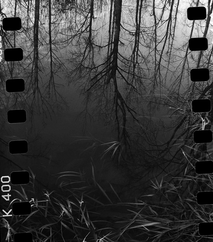 Reflections