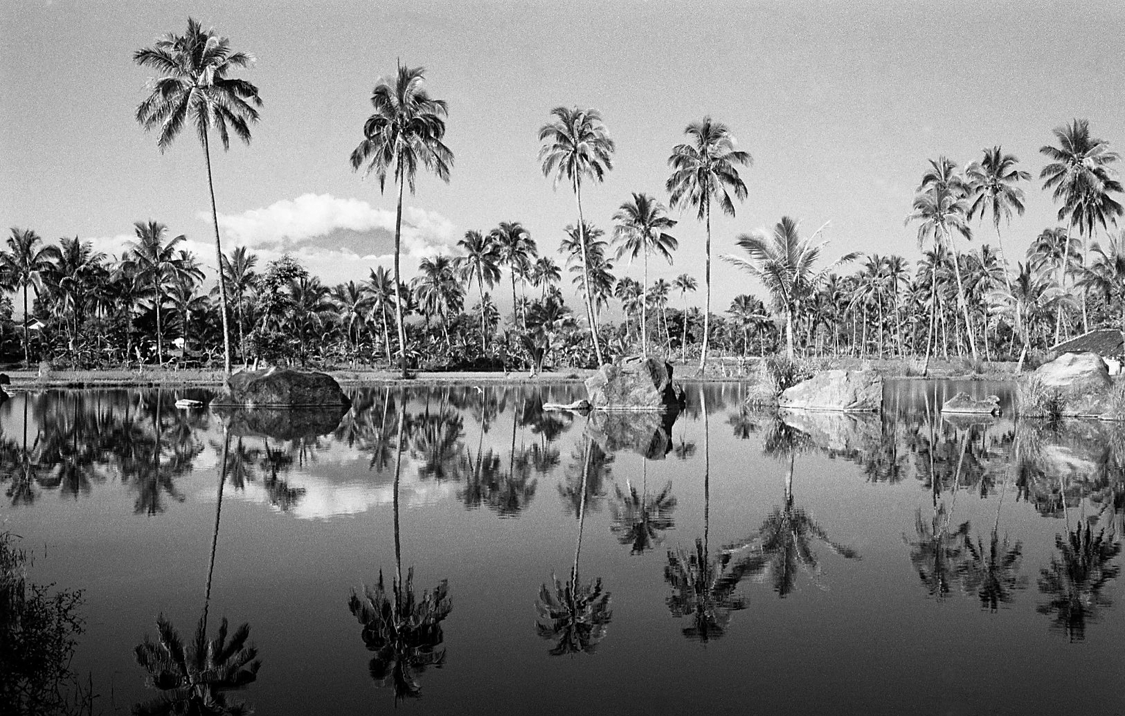 Reflections