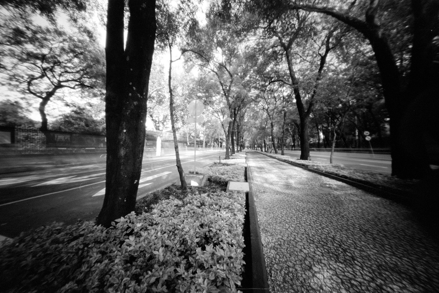 Reforma Chapultepec Pinhole