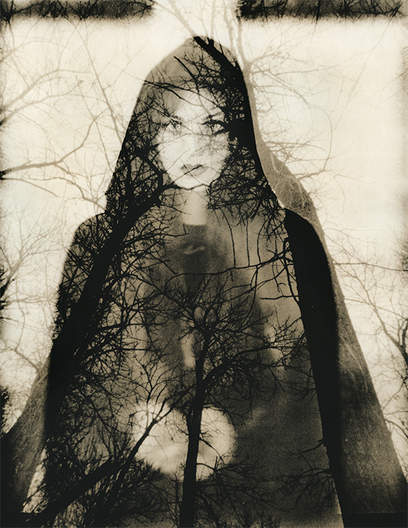 Reign Of Silence