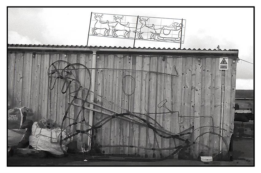 Reindeer in storage for Christmas - Newlyn Harbour