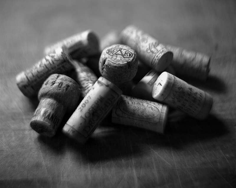 Remains of the Holidays...