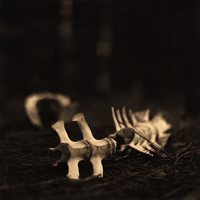 Remnants Remain (print - Photostock 2009)