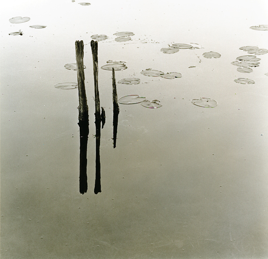 Remnants