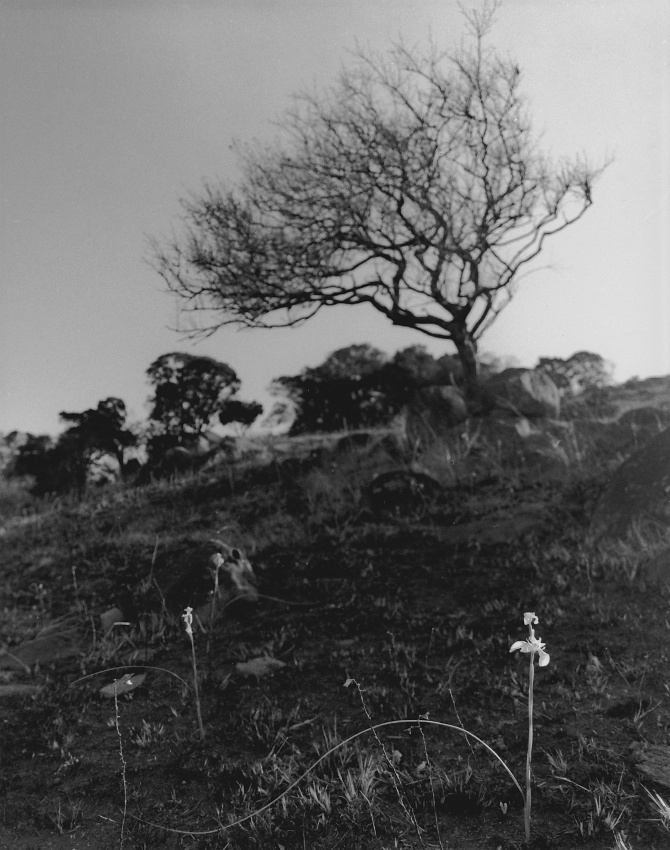 Renewal