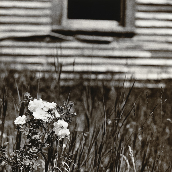 (reputed) whore house on Levering Road (Photostock 2009)
