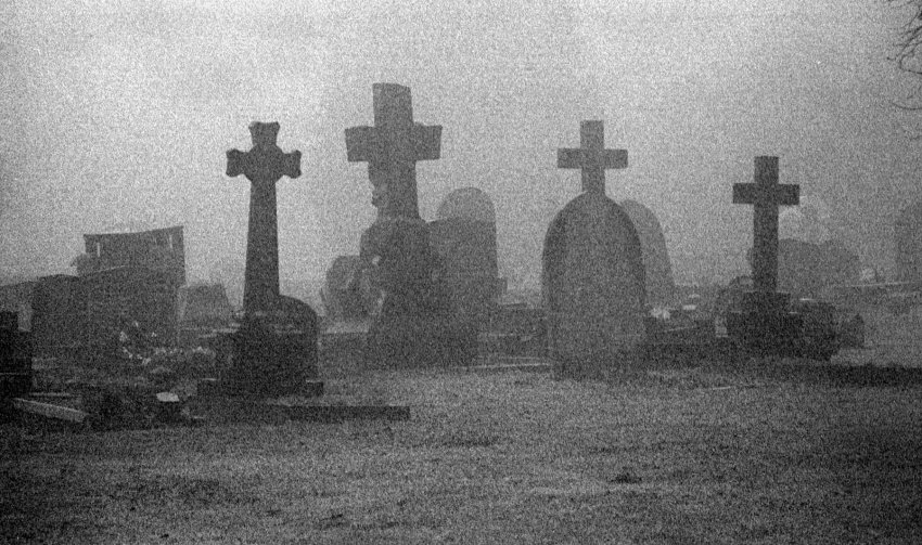 'Residents' in the Mist