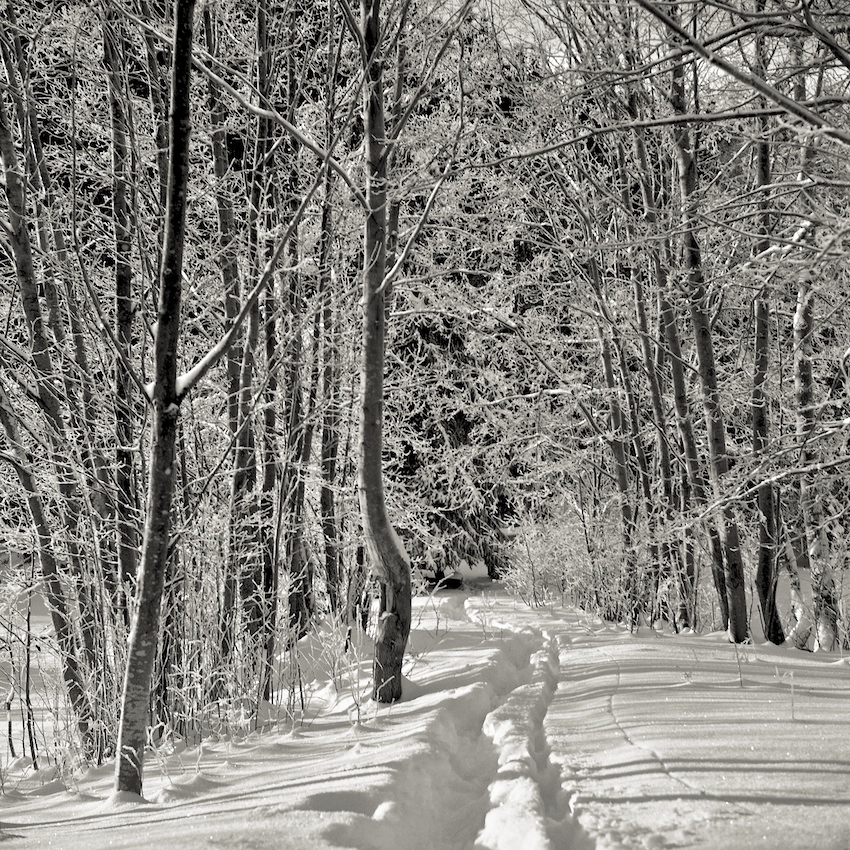 Retracing my tracks