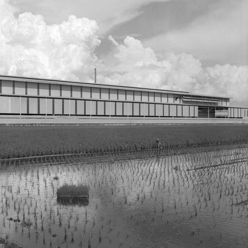 Rice processing factory pt.II