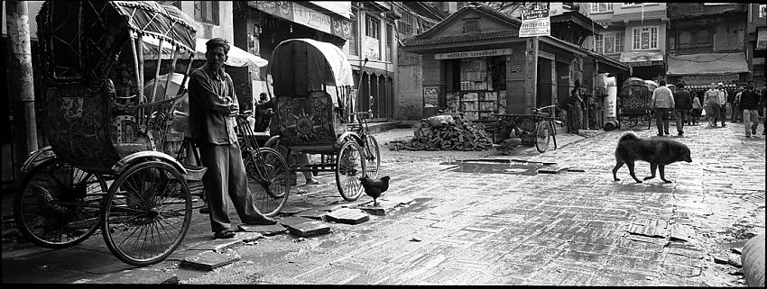 Rickshaws; Thamel, Kathmandu, Nepal (2012)