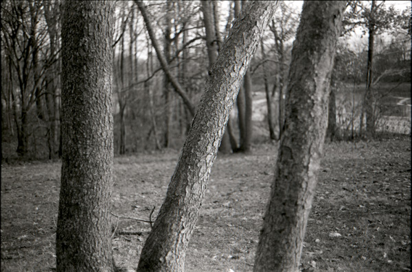 Ricoh Test