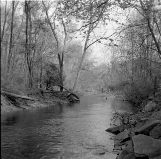 Ridley Creek