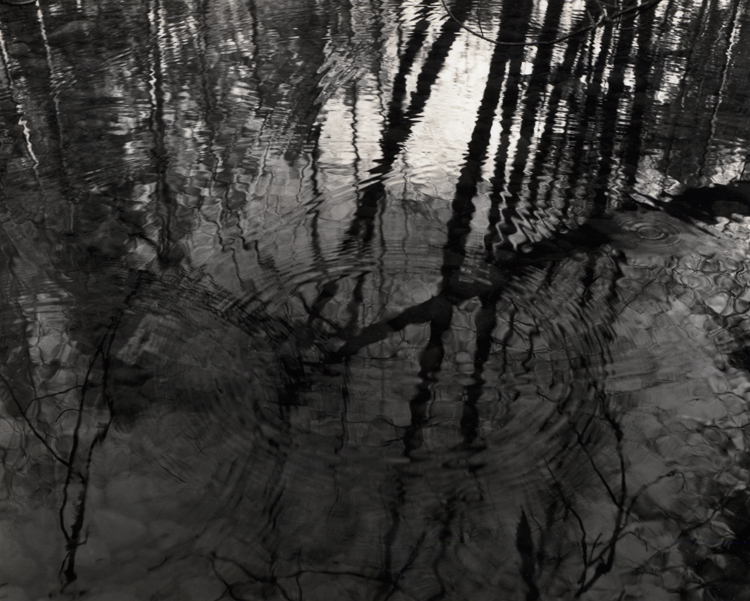 Ripples, Reflections