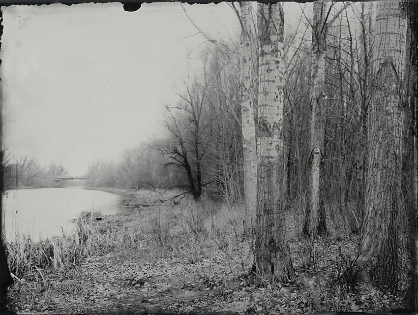 River bank