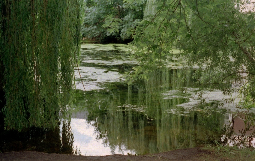 River Colne 02