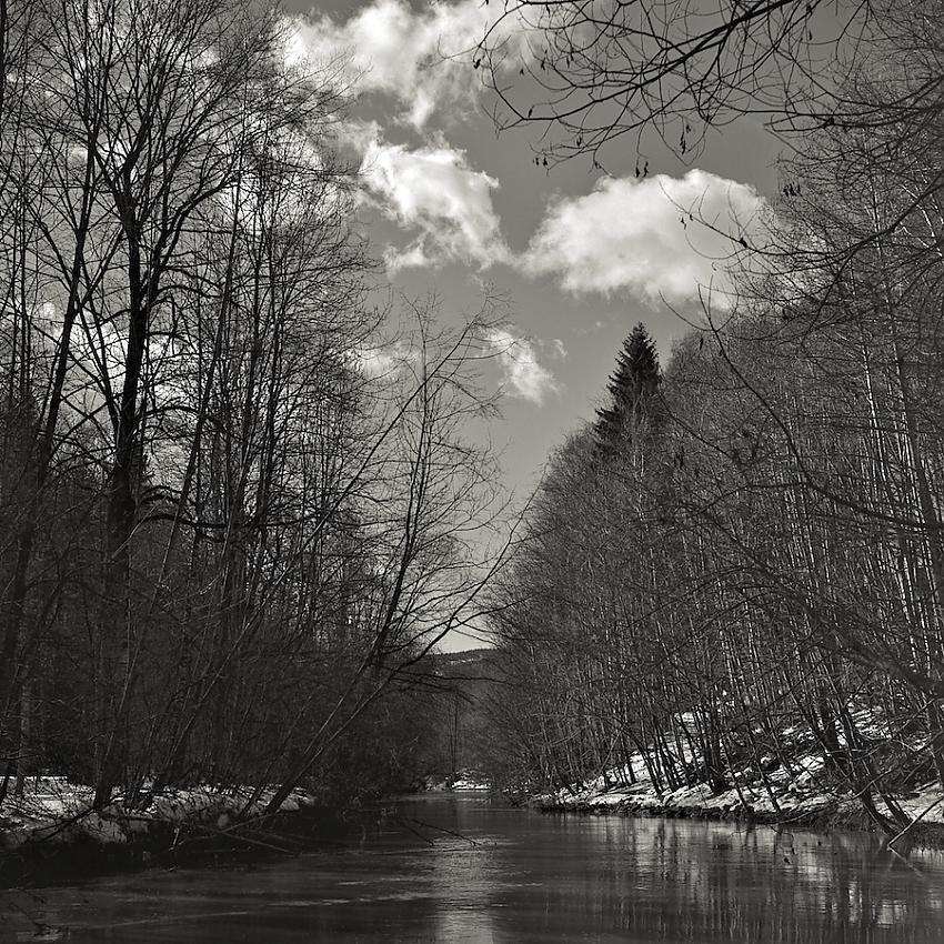 River in spring