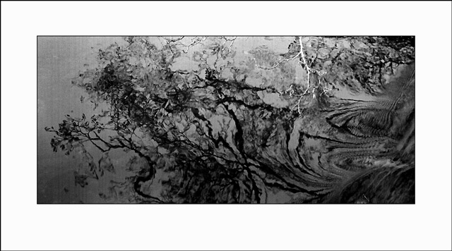 River reflections
