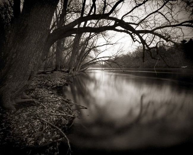 river_trees