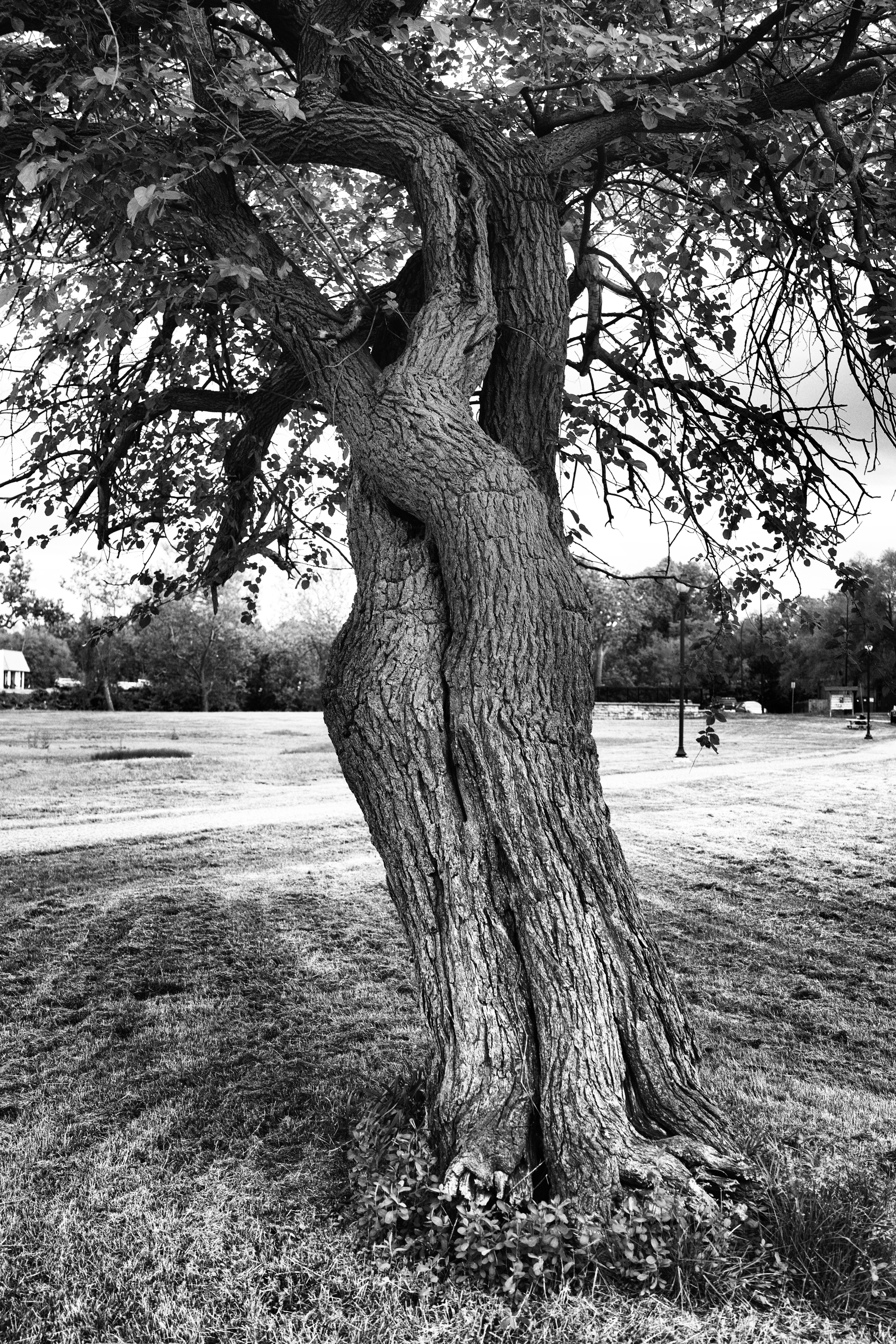 riverviewfp4hc110-2000-2.JPG