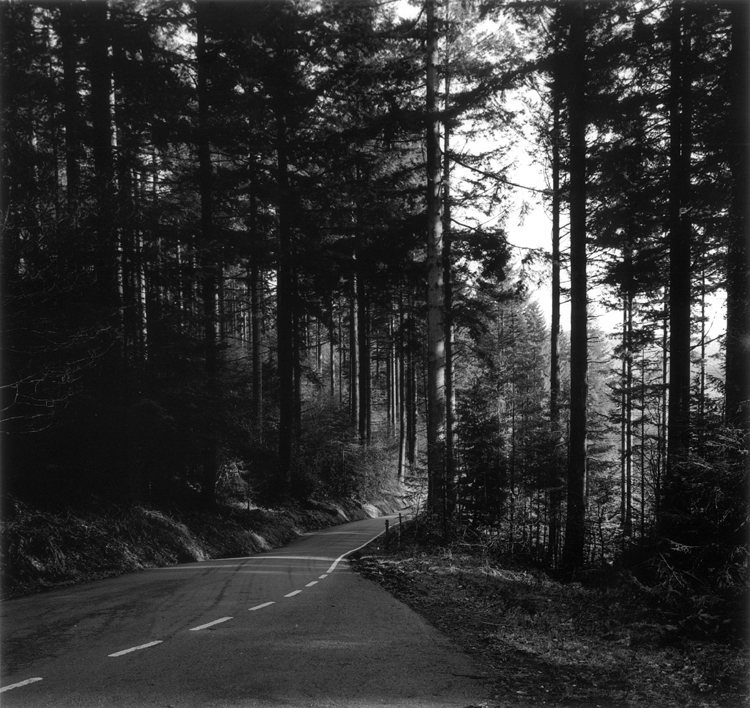 Road In North Wales