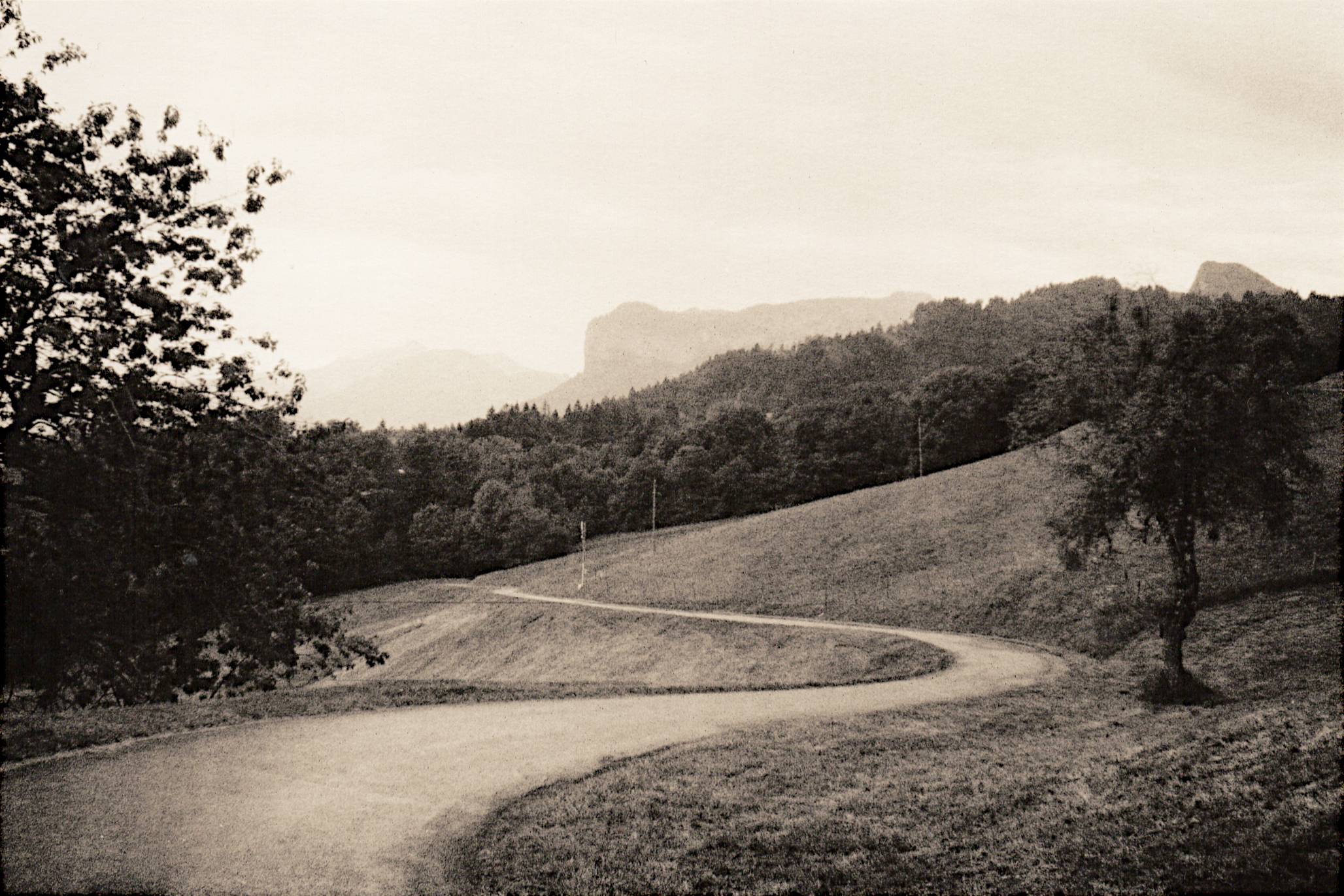 Road in the hills