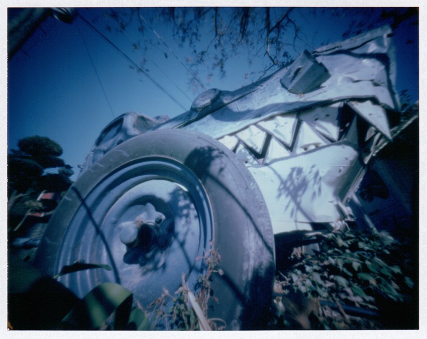 Road Shark