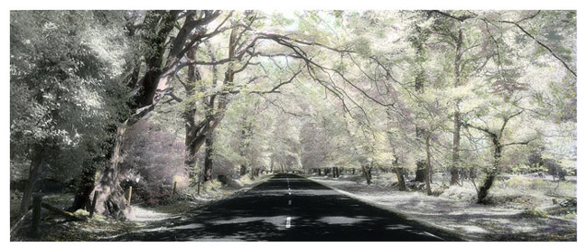 Road to Brockenhurst