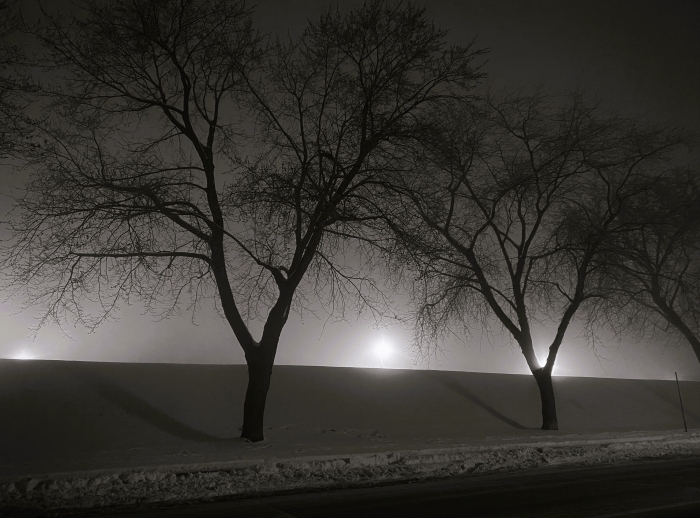 Roadside, Fog