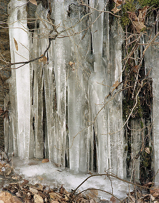 Roadside Ice